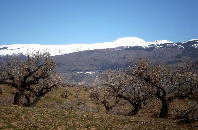 View of Sierra Nevada
